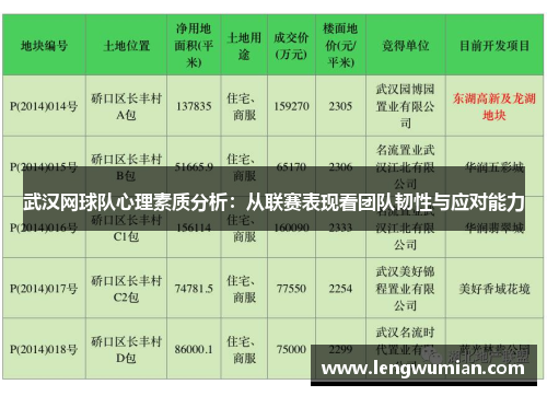 武汉网球队心理素质分析：从联赛表现看团队韧性与应对能力