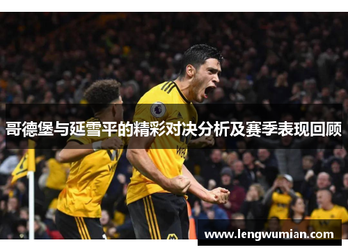哥德堡与延雪平的精彩对决分析及赛季表现回顾